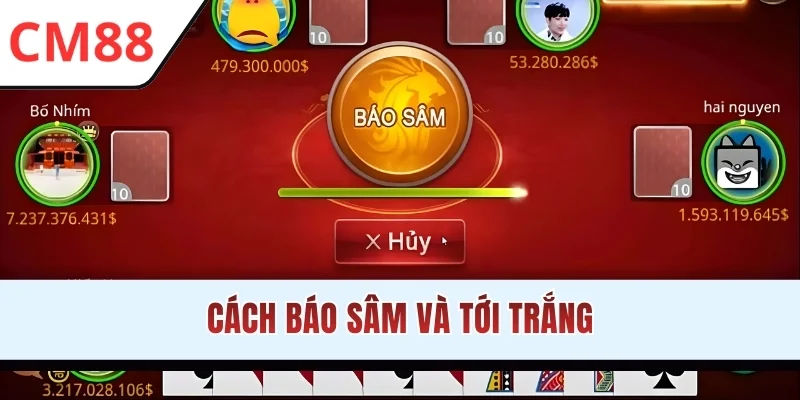 Cách báo Sâm và tới trắng